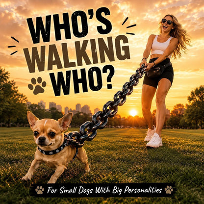 Iron Paw Comedy: The "Heavy" Chain Leash That's Light as a Feather! ⛓️✨