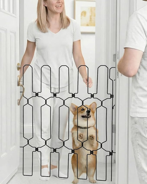 Retractable dog door for front door