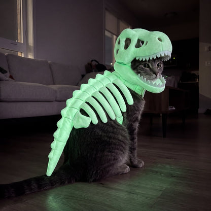 🦖 Halloween Season Sale 50% OFF– Glow-in-the-Dark Dinosaur Skeleton Pet Costume