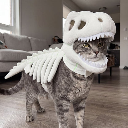 🦖 Halloween Season Sale 50% OFF– Glow-in-the-Dark Dinosaur Skeleton Pet Costume