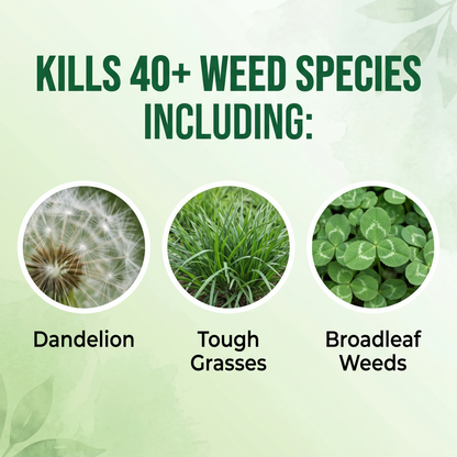 🔥Advanced 2-in-1 Pro+ Herbicide | Upgraded Formula for 6-Hour Rapid Kill, Root Eradication & Destroys Glyphosate-Resistant Weeds